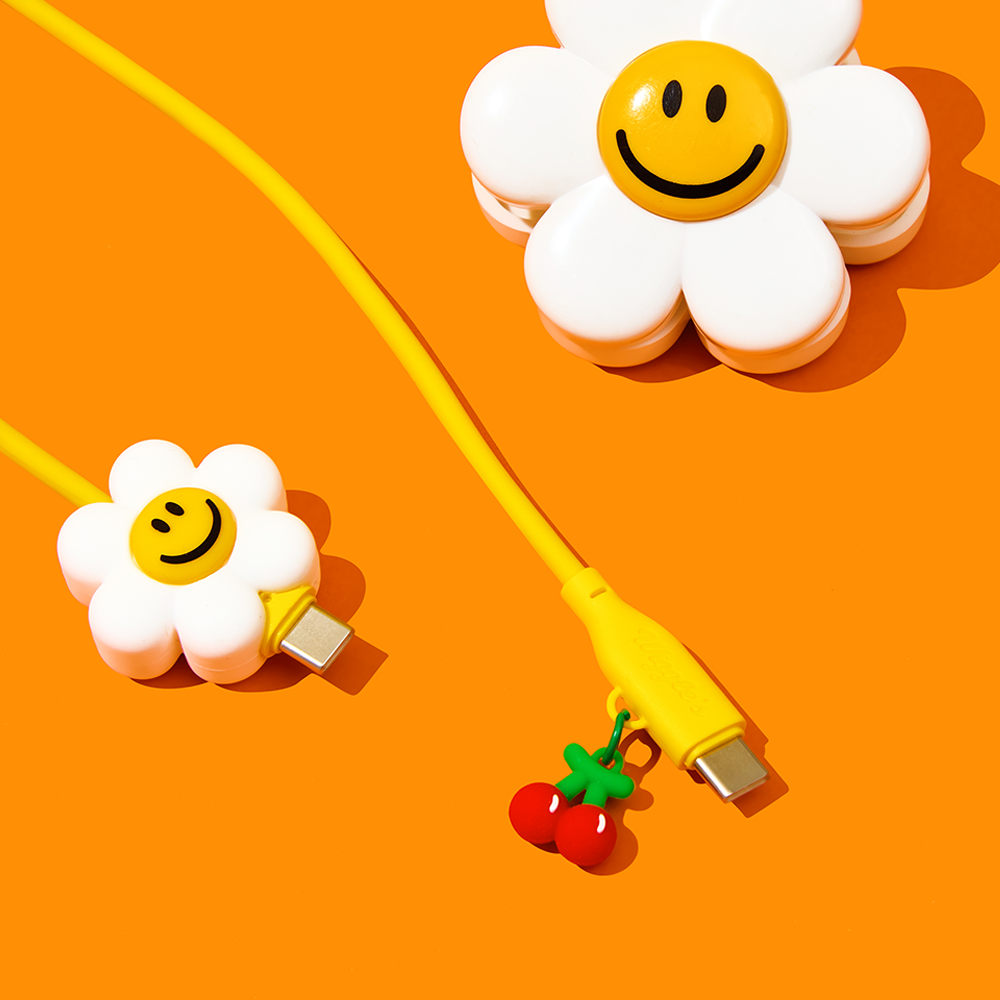 C to C fast charge cable