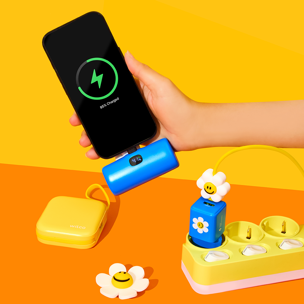 Fast charging power bank