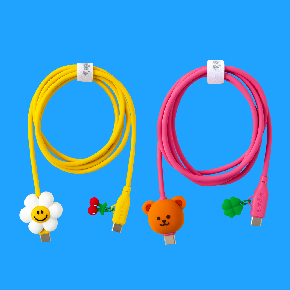 C to C fast charge cable