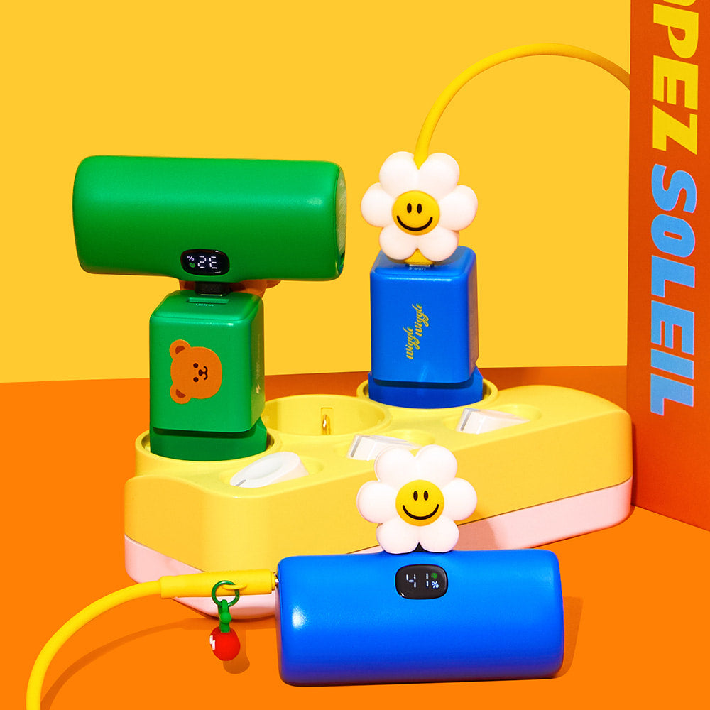 Fast charging power bank